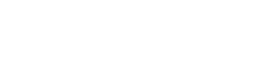 https://es.drivinglogistics.net/wp-content/uploads/sites/3/2024/08/logo-ds-white.png